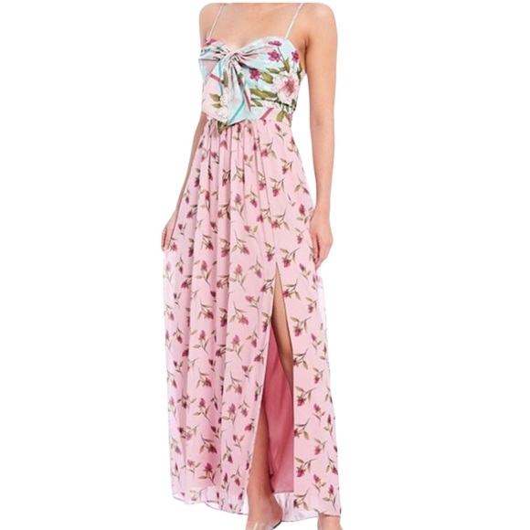 Badgley Mischka Dresses & Skirts - Badgley Mischka Ollie Floral Maxi Dress Pink NWT 0